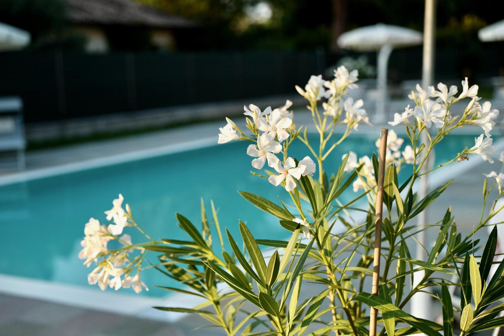 Caterina Residence ファエンツァ エクステリア 写真