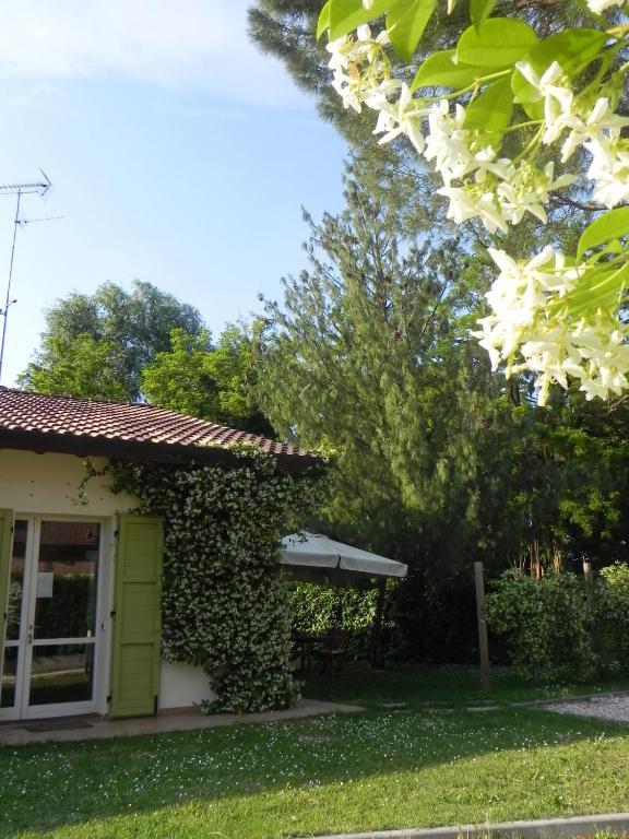 Caterina Residence ファエンツァ エクステリア 写真