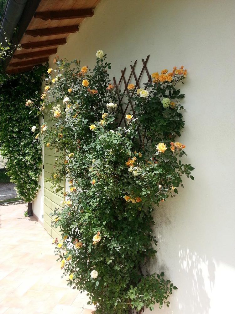 Caterina Residence ファエンツァ エクステリア 写真